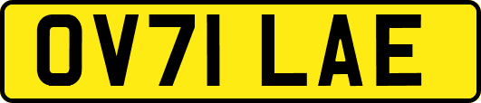 OV71LAE
