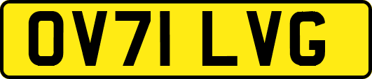 OV71LVG