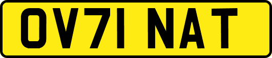 OV71NAT