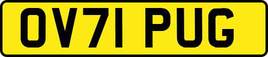 OV71PUG