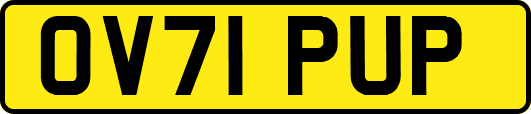 OV71PUP