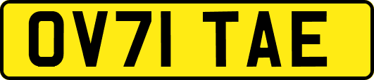 OV71TAE