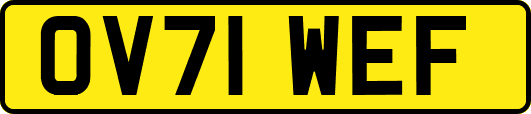 OV71WEF