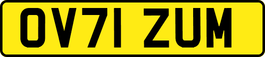 OV71ZUM