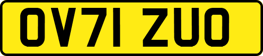 OV71ZUO