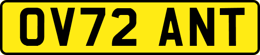 OV72ANT