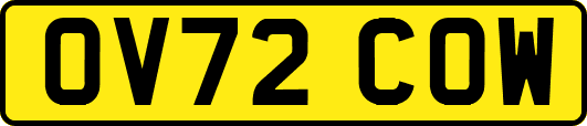 OV72COW