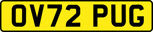 OV72PUG