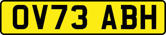 OV73ABH
