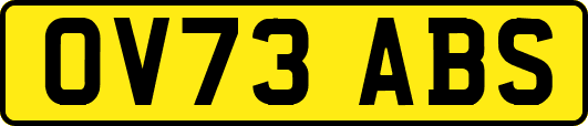 OV73ABS