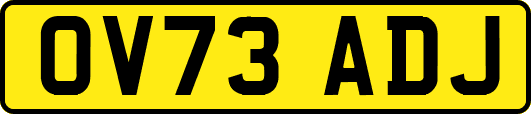 OV73ADJ