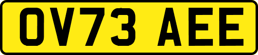 OV73AEE