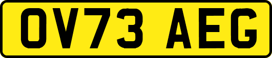 OV73AEG