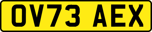 OV73AEX