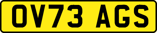 OV73AGS