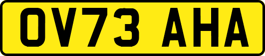OV73AHA