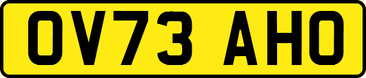 OV73AHO