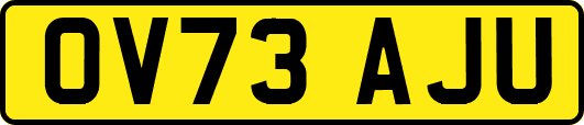 OV73AJU