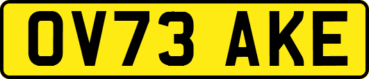 OV73AKE