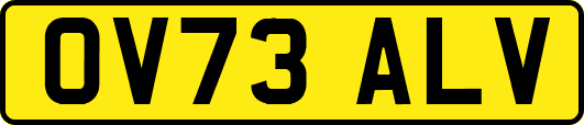 OV73ALV