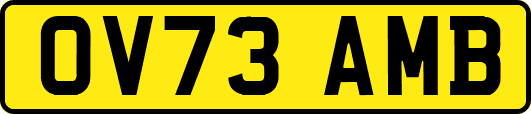 OV73AMB