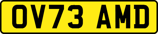 OV73AMD