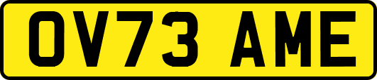 OV73AME