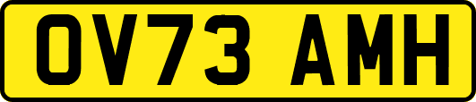 OV73AMH