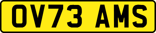 OV73AMS