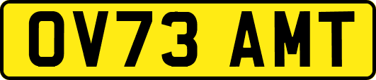 OV73AMT