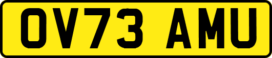 OV73AMU