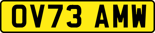 OV73AMW