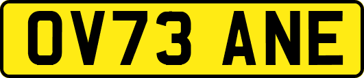 OV73ANE