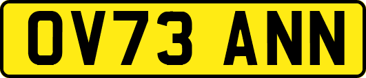 OV73ANN