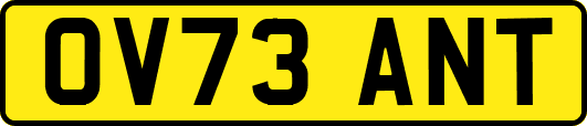 OV73ANT