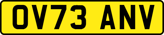 OV73ANV