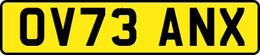 OV73ANX