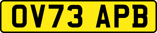 OV73APB