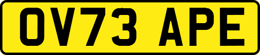 OV73APE