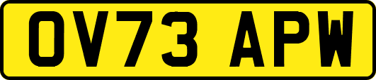 OV73APW
