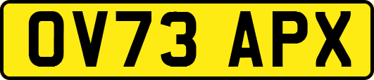 OV73APX