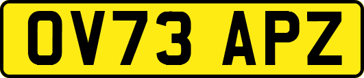 OV73APZ