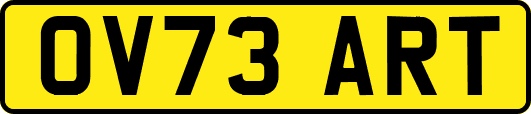 OV73ART