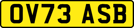 OV73ASB