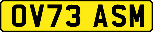 OV73ASM