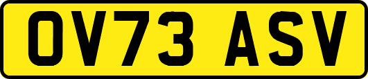 OV73ASV