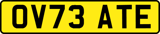OV73ATE