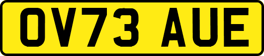 OV73AUE