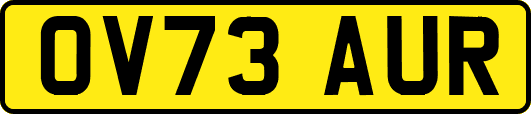 OV73AUR