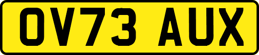OV73AUX